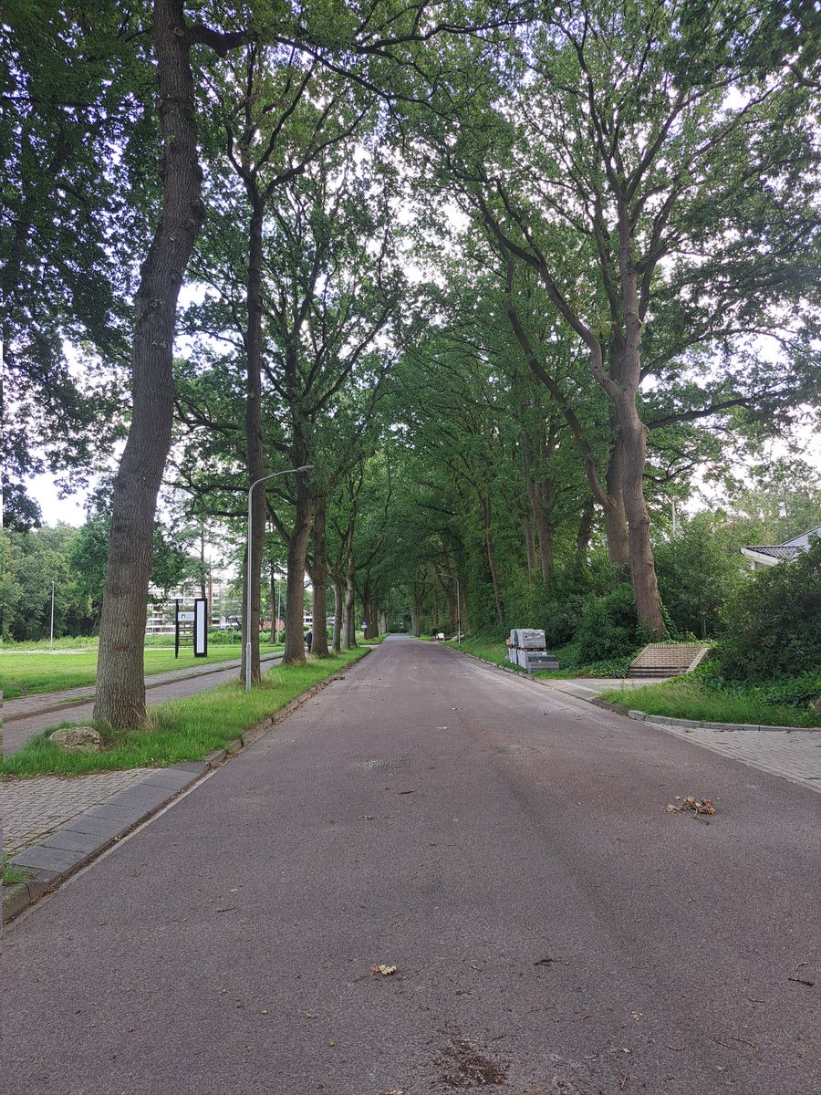 Bomen inventarisatie voor een #BEA Bomen effect analyse <a href="/GemeenteEmmen/">Gemeente Emmen</a>