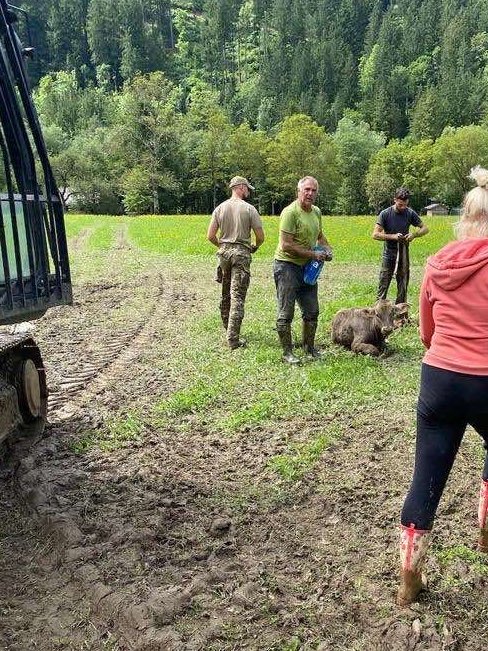 Slovenska vojska tweet media