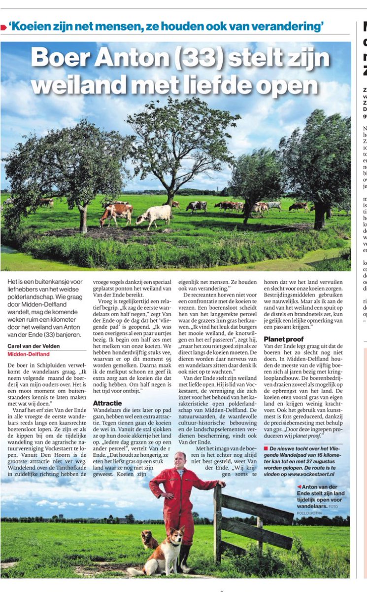 Nieske Dijkshoorn van Dijk💚🐄🐑🏄♂️🚜 👩🌾🍀 (@nieskedijk) on Twitter photo Vanaf deze week is er weer een “nieuw vliegend wandelpad” te lopen in #MiddenDelfland. De tijdelijke #wandelroute van <a href="/Weidevogels_MD/">Weidevogels Midden-Delfland</a> #vockestaert. Tot 27 augustus kun je deze route lopen dwars door de polder! <a href="/DelflandMidden/">Midden in Delfland</a> @PuuurMD Groen. Open Dichtbij. Vanaf deze week is er weer een “nieuw vliegend wandelpad” te lopen in #MiddenDelfland. De tijdelijke #wandelroute van <a href="/Weidevogels_MD/">Weidevogels Midden-Delfland</a> #vockestaert. Tot 27 augustus kun je deze route lopen dwars door de polder! <a href="/DelflandMidden/">Midden in Delfland</a> @PuuurMD Groen. Open Dichtbij.