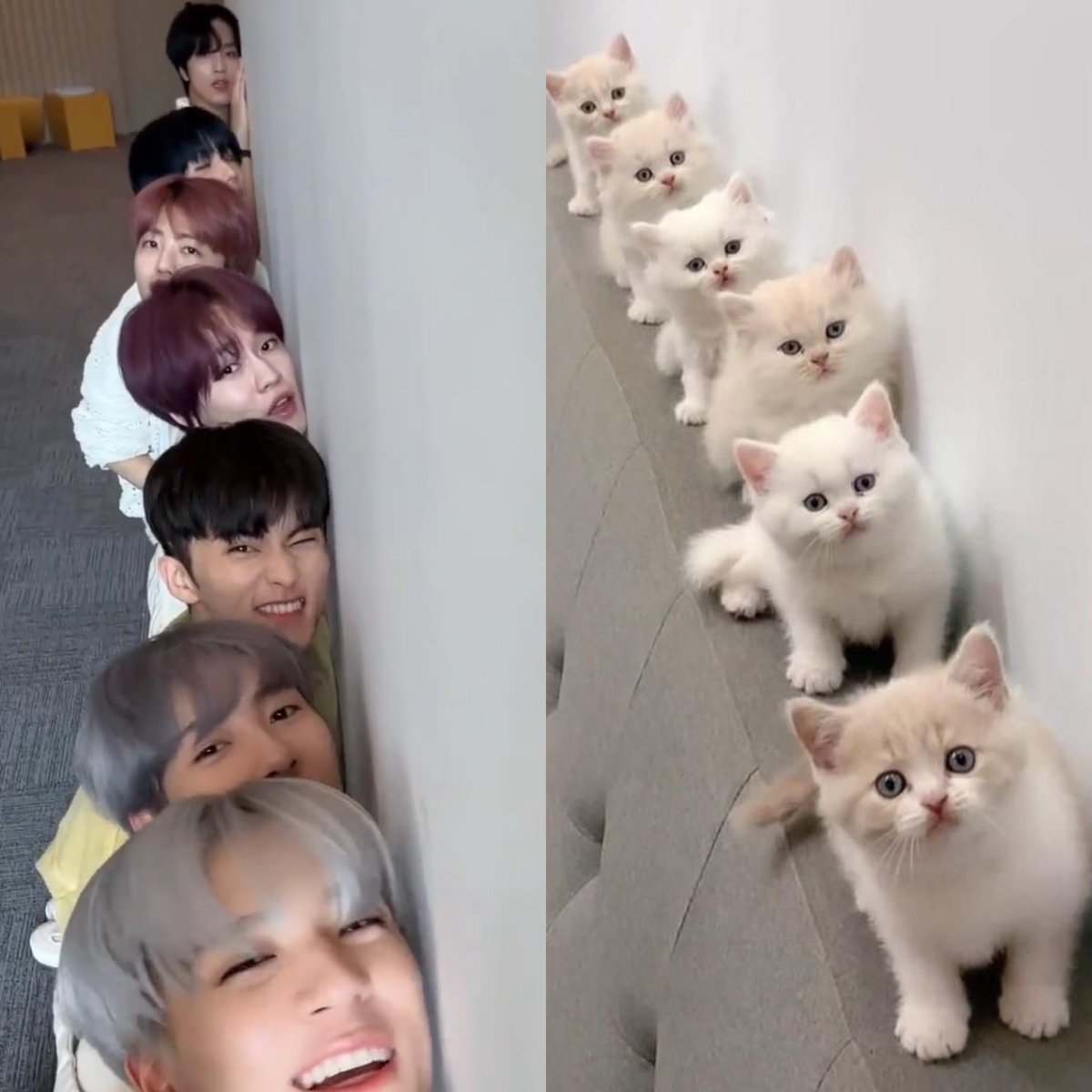 nct_menfess's tweet image. GEMES GEMES GEMES GEMESSSSSSSS nct!
Cr. fallinkmm