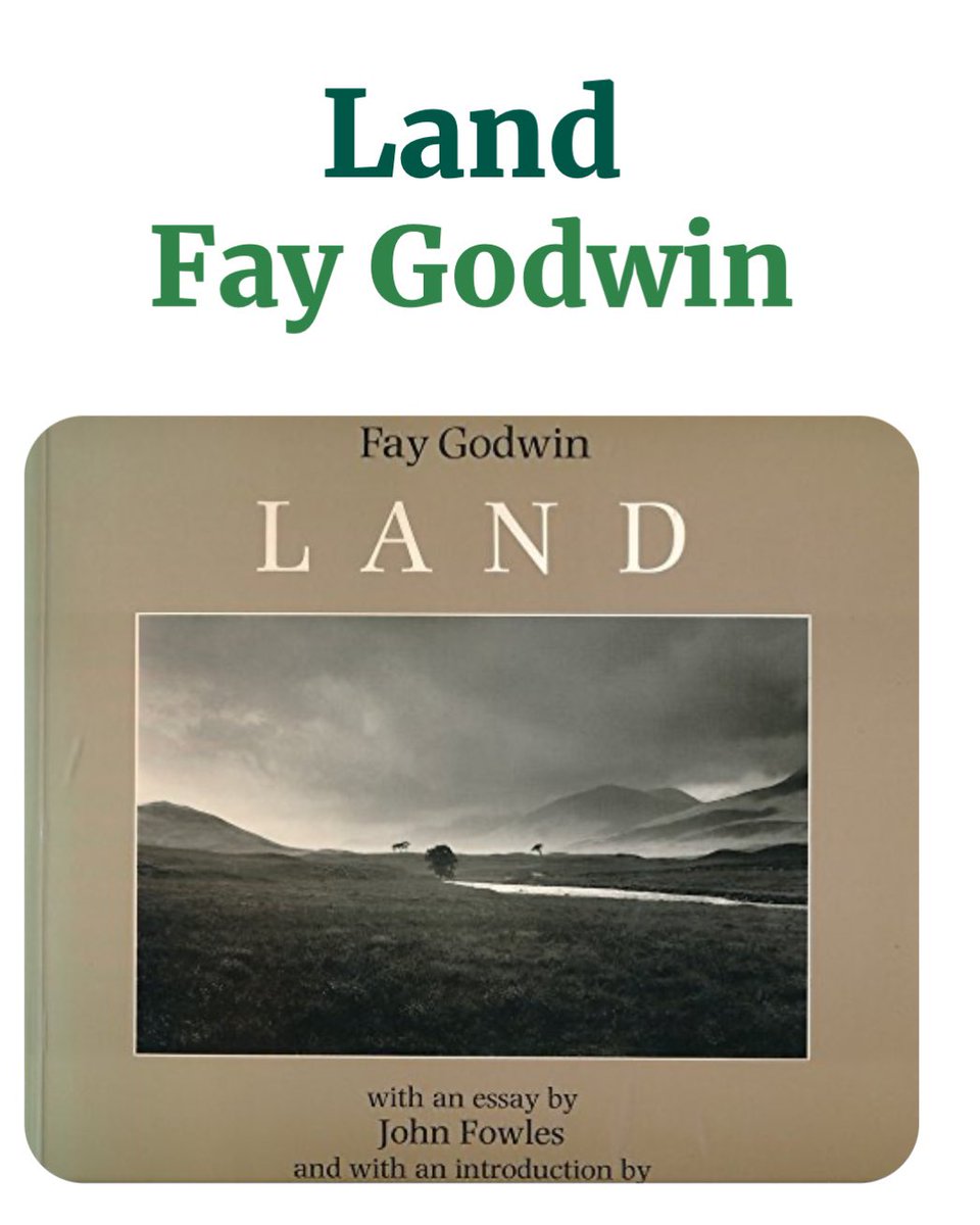 A treat to myself #faygodwin #BooksAlive #photograghy