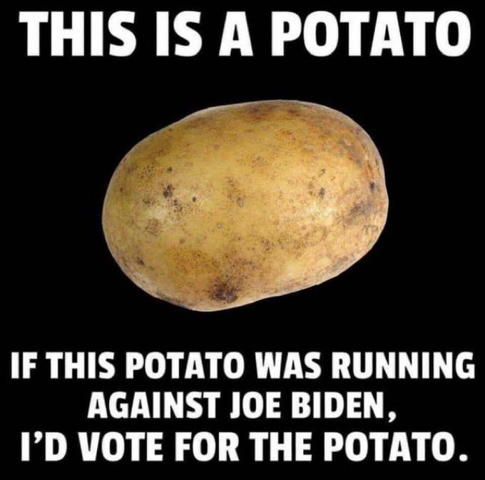 brixwe's tweet image. I'd even help to campaign for the Potato.

How about you?