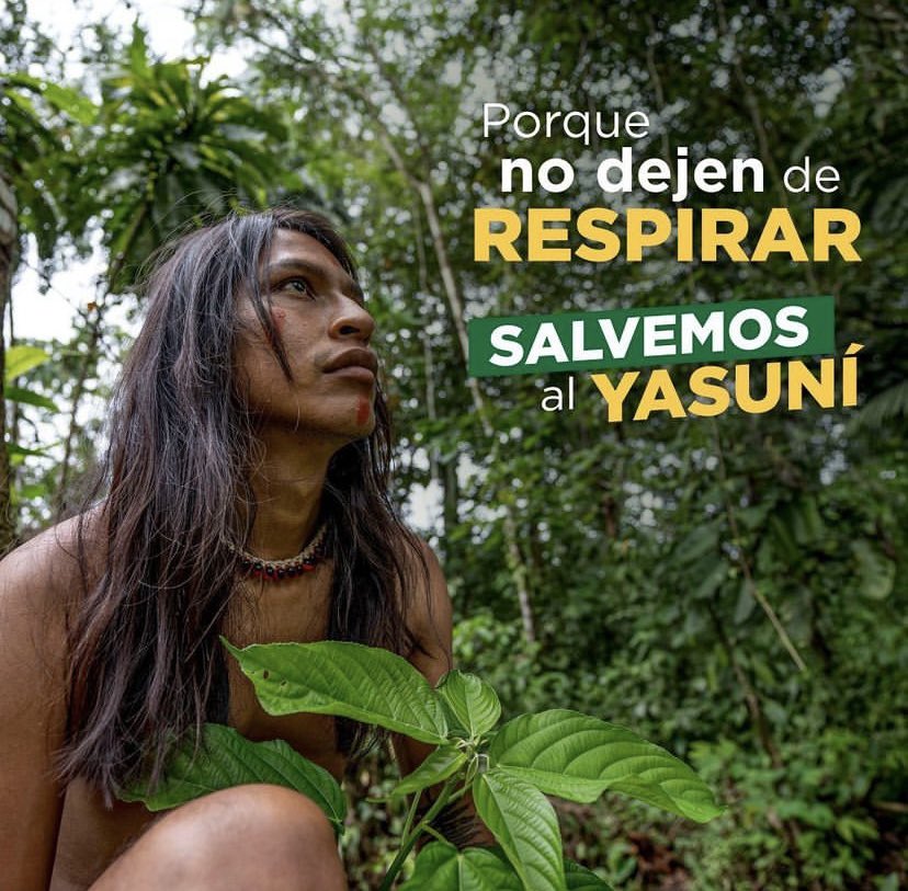 El 20 de agosto todos elevemos las voces y salvemos el Yasuní en la Amazonia del Ecuador. Únete a esta campaña con los siguientes #SialYasuni #YasuniSiyPunto #ParqueNacionalYasuni #ConsultaPopular #ExplotacionPetrolera Por la vida, la naturaleza y las culturas amazónicas.