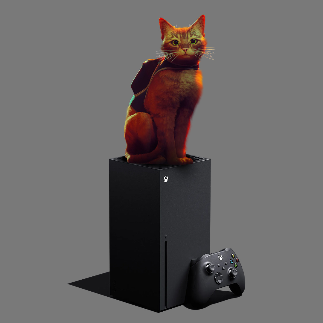 XBOX FR tweet media
