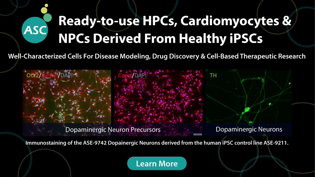 ASCAppliedStem's tweet image. [Explore &amp;amp; Discover ~ iPSC-DERIVED CELLS 🔬]

What iPSC-derived cell line do you need for your research? Explore ASC&apos;s iPSC-derived cell product catalog and discover the cell line that can help transform your research.

🔗appliedstemcell.com/products/stem-…

#ipsc #cellandgenetherapy