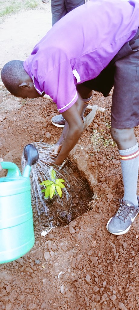 hawaah_M's tweet photo. We all need clean air to breath in😍.. so let's look around for it. #climaticaction.
Take the lead.
I, we took one✌️😊
@CLIMATEwBORDERS @ClimateReality @TEACH4UG @bin_oshabe . https://t.co/E87UG1zITe