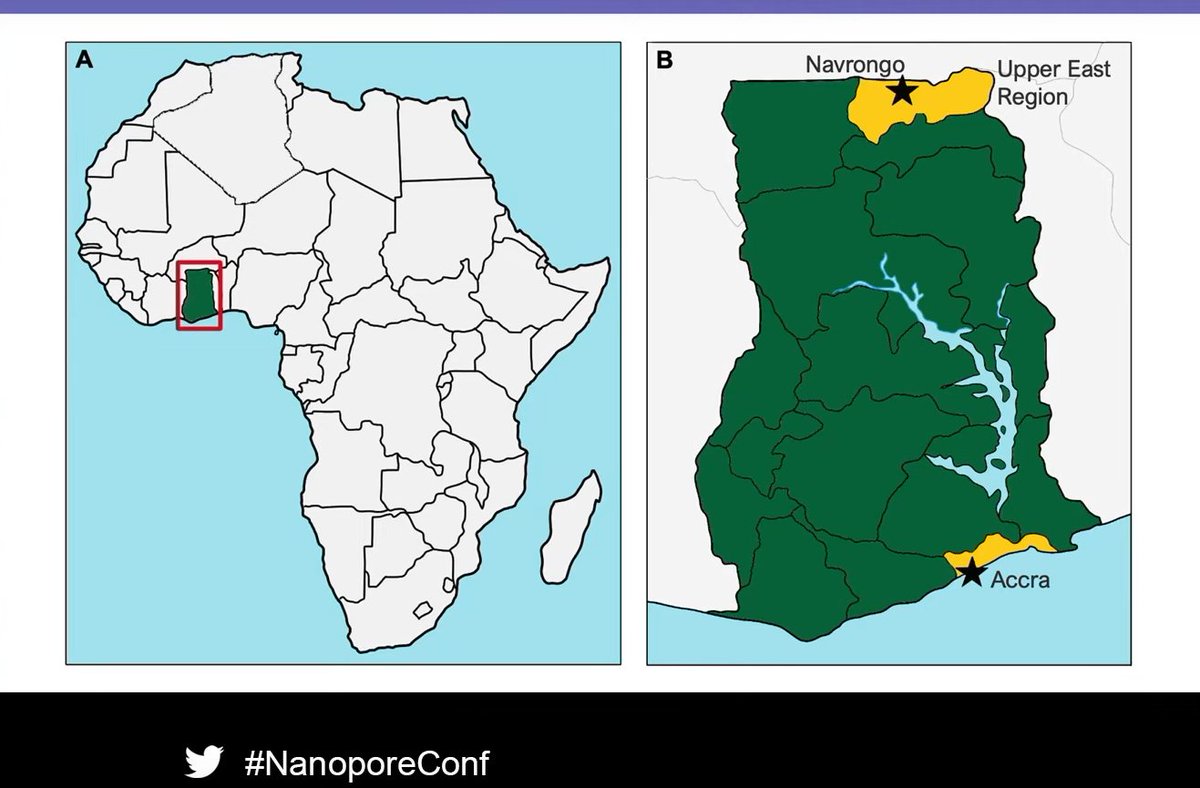 WACCBIP (@waccbip_ug) on Twitter photo Learn about research work by the Genomics & Bioinformatics Group (<a href="/gbl_waccbip/">Genomics & Bioinformatics Lab</a>) here at WACCBIP leveraging <a href="/nanopore/">Oxford Nanopore</a> sequencing technologies for real-time malaria surveillance in Ghana.
Featured at the #nanoporeconf London Calling 2023.
full article - bit.ly/45mSxQJ Learn about research work by the Genomics & Bioinformatics Group (<a href="/gbl_waccbip/">Genomics & Bioinformatics Lab</a>) here at WACCBIP leveraging <a href="/nanopore/">Oxford Nanopore</a> sequencing technologies for real-time malaria surveillance in Ghana.
Featured at the #nanoporeconf London Calling 2023.
full article - bit.ly/45mSxQJ