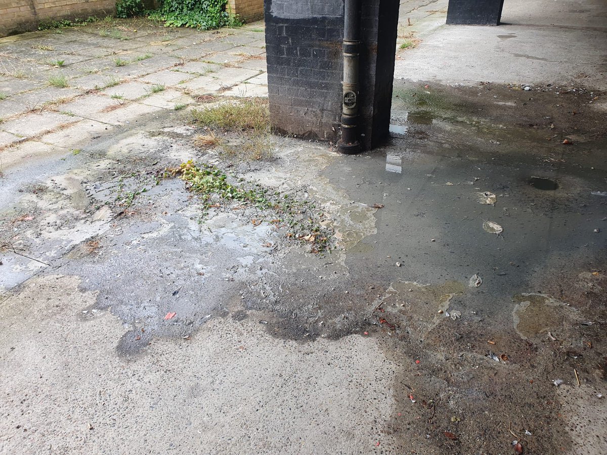 Woolwich Common TRA tweet media