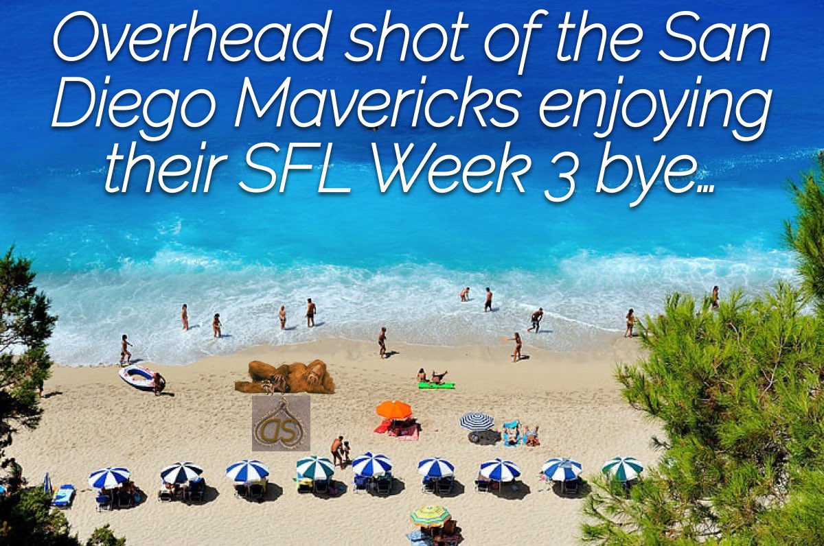 San Diego Mavericks tweet media