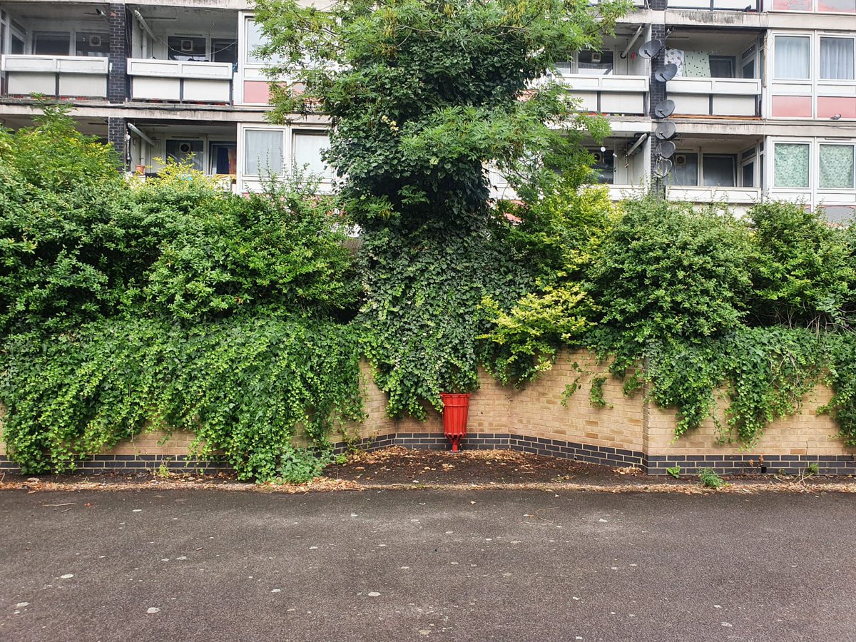 Woolwich Common TRA tweet media