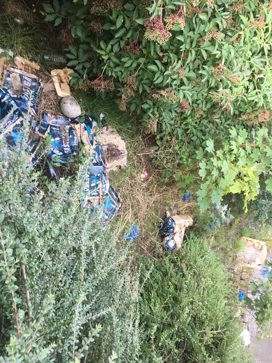 Woolwich Common TRA tweet media