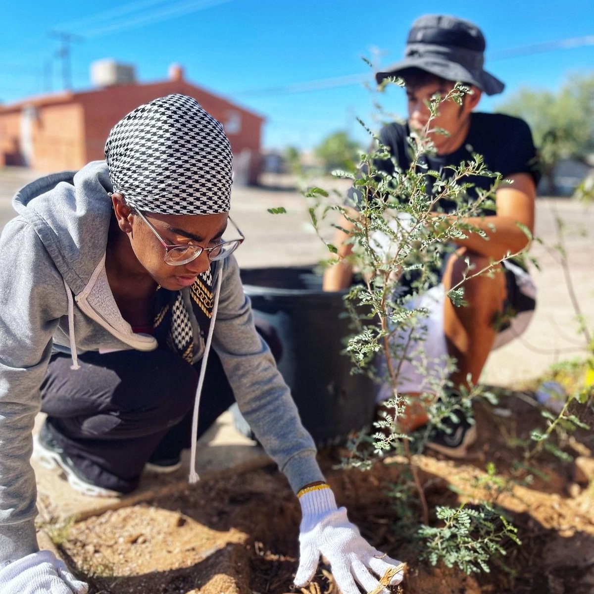 arborday's tweet photo. Through our Environmental Justice Grant, 2,000+ trees were planted among Tucson's most heat-vulnerable neighborhoods 💪🌳

Thanks to @TCBTrees4Tucson and countless volunteers, these trees are addressing pressing issues that Tucson's marginalized communities face. https://t.co/OinyV9i96X