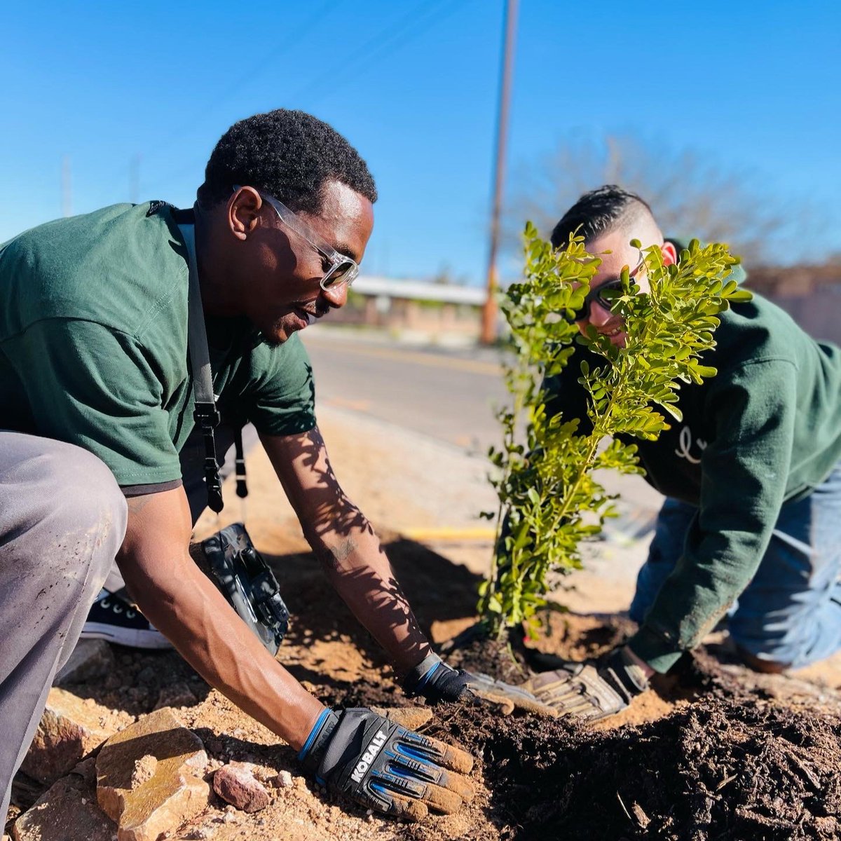arborday's tweet photo. Through our Environmental Justice Grant, 2,000+ trees were planted among Tucson's most heat-vulnerable neighborhoods 💪🌳

Thanks to @TCBTrees4Tucson and countless volunteers, these trees are addressing pressing issues that Tucson's marginalized communities face. https://t.co/OinyV9i96X