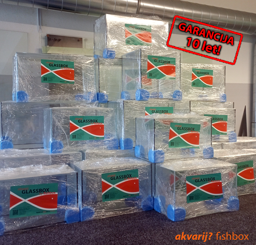 fishbox_si's tweet photo. 💎10 let garancije na vaš akvarij? 😱 Seveda, v fishbox-u, za vse v naši delavnici narejene akvarije! Kvalitetno, skrbno, z dolgoletnimi izkušnjami v akvaristiki.💎
⚓️ https://t.co/hNjKigpxaE ⚓️
#akvarij #akvaristika #fishboxAkvarij #terarij #teraristika #garancija #btcLjubljana https://t.co/VSYi0jdEQc