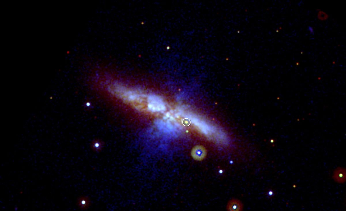 OriUplift's tweet photo. #POWER ! 💖✨✊
12. Night Sky - Supernova [@TimeLeapRecords] #UpOnly548 https://t.co/2s1x1dh8YI
