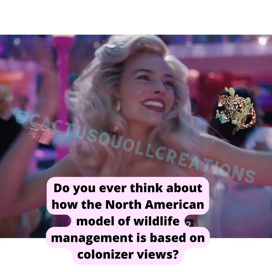 Gael Sanchez (she/her) (@cactusquoll) on Twitter photo 