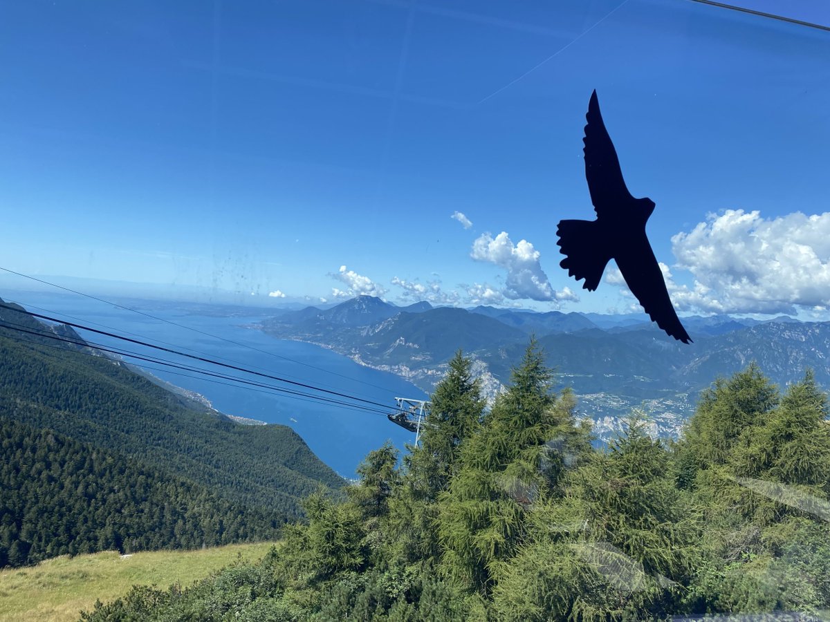 A little update…: I thought I’d offer you a quick update on what I’m up to. First, and foremost, I am on my first vacation away from home since the start of the firs... leopoldborstinski.com/2023/08/07/a-l…