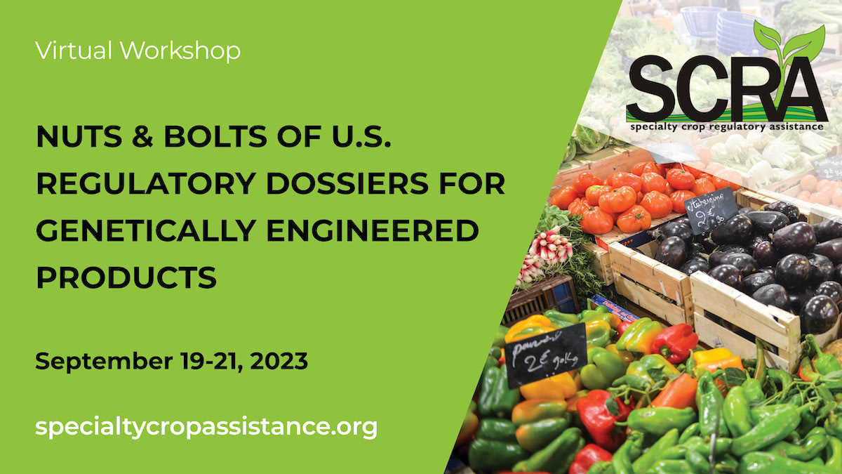 K Eversole tweet media