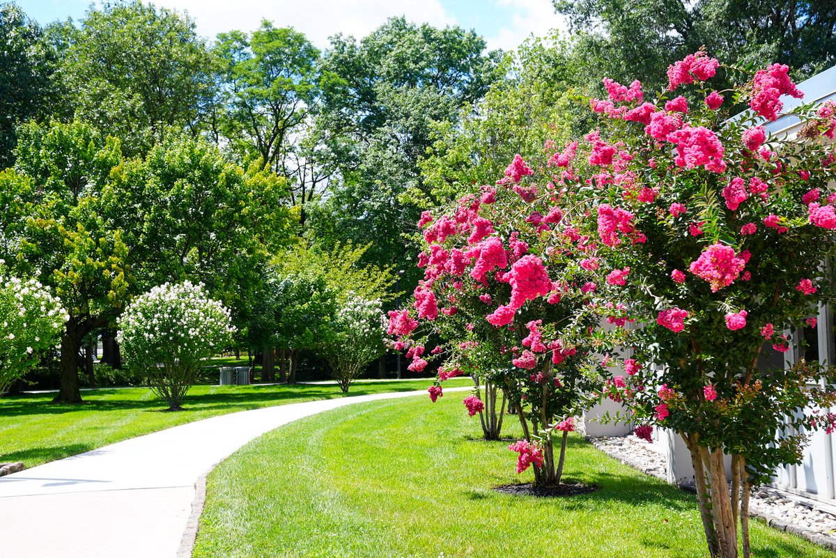 Kean University tweet media