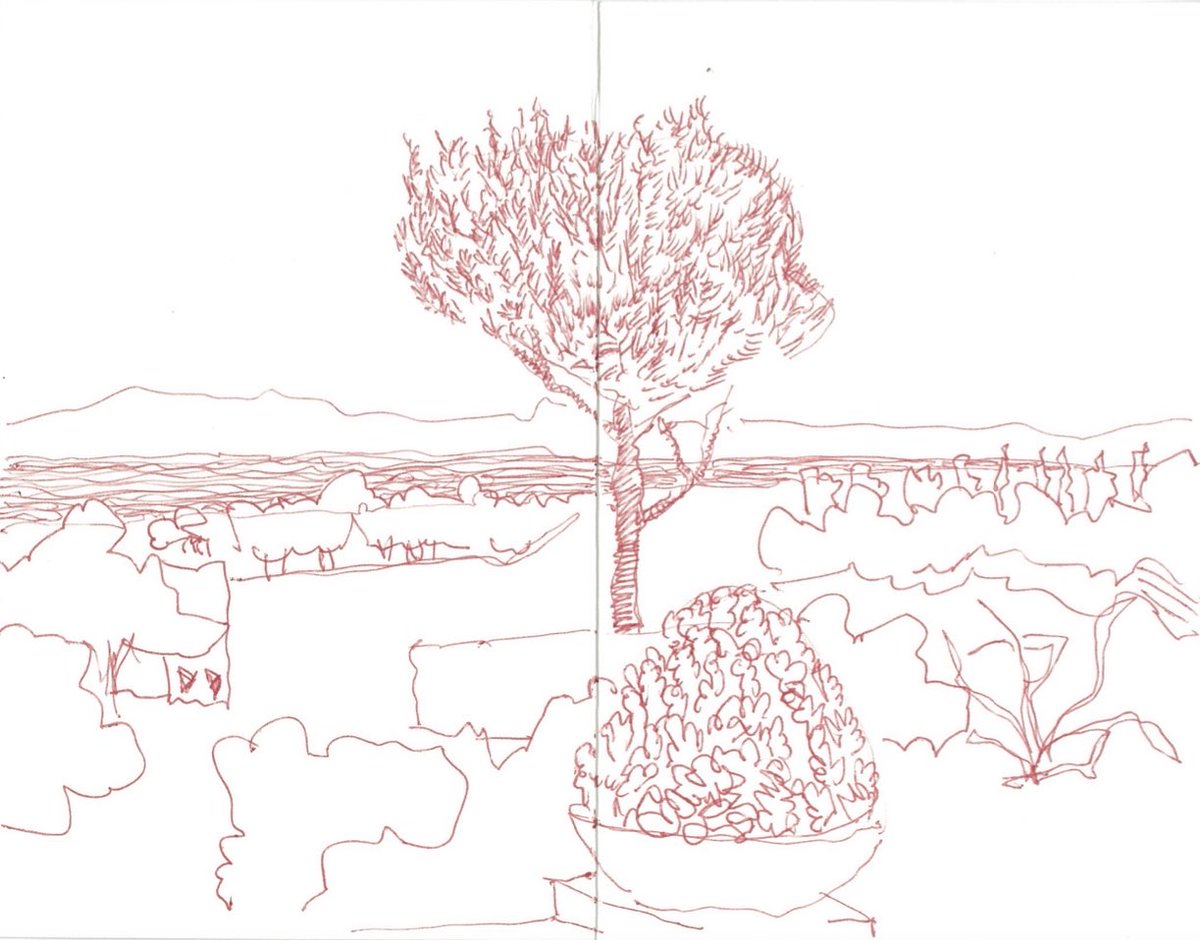 B Gomez-Pimienta (@bernagompim) on Twitter photo 