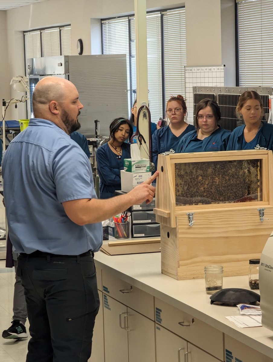 Stautzenberger's tweet photo. Busy bees! Yesterday, Veterinary Tech students were presented with an enclosed honeybee hive, brought in by Michael Horst, Stautzenberger Maumee HVAC program chair and avid apiarist. We discussed the importance of honeybees and how it applies to veterinary professionals. https://t.co/sertlB5VF3
