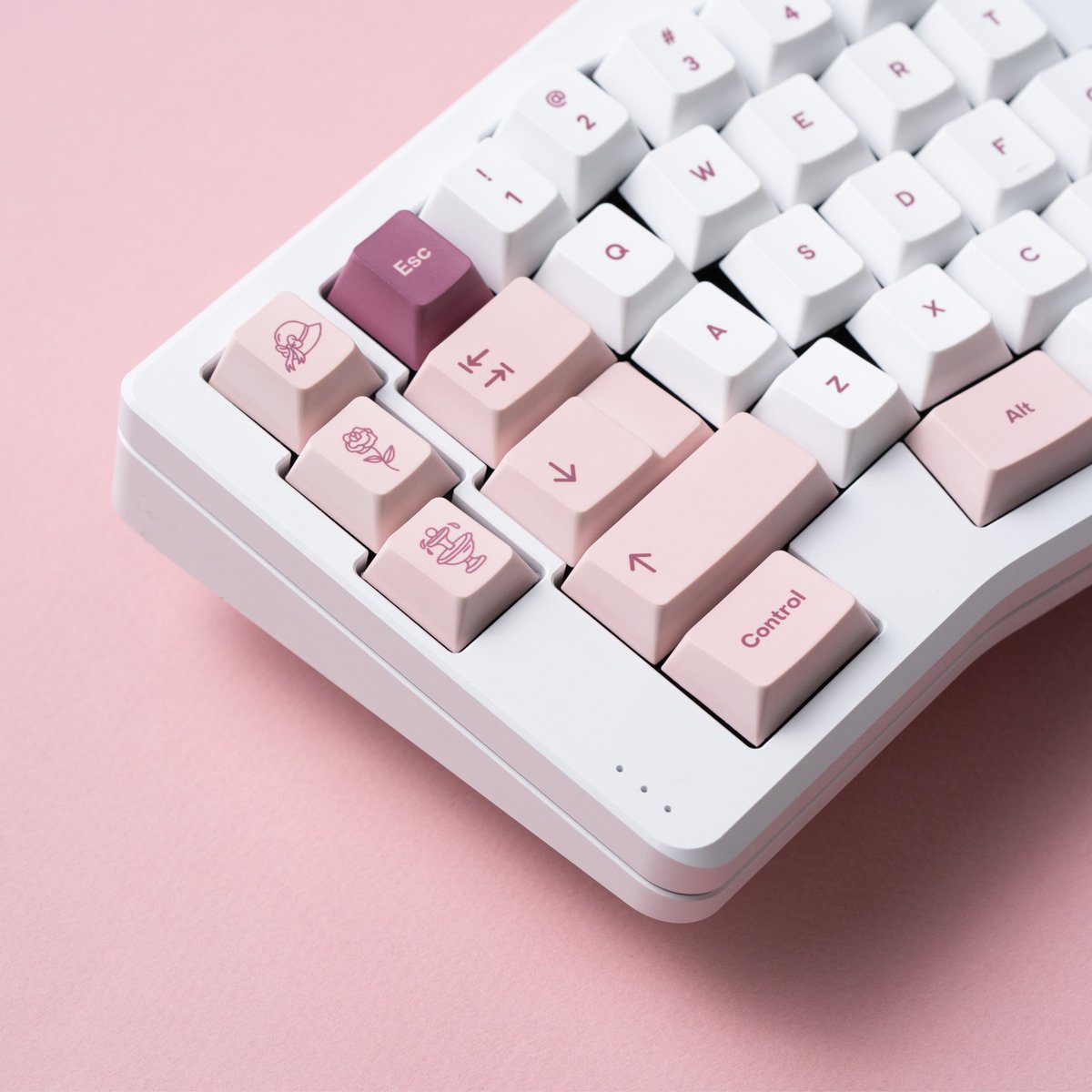 ShopTeacaps's tweet image. Just under two weeks remain to pre-order Rosewater and the Rosewater deskmat!

If you're outside of the United States, check out out one of our partner vendors for Rosewater:

Canada: Ashkeebs
Europe: Keygem
Oceania: Keebz N Cables
