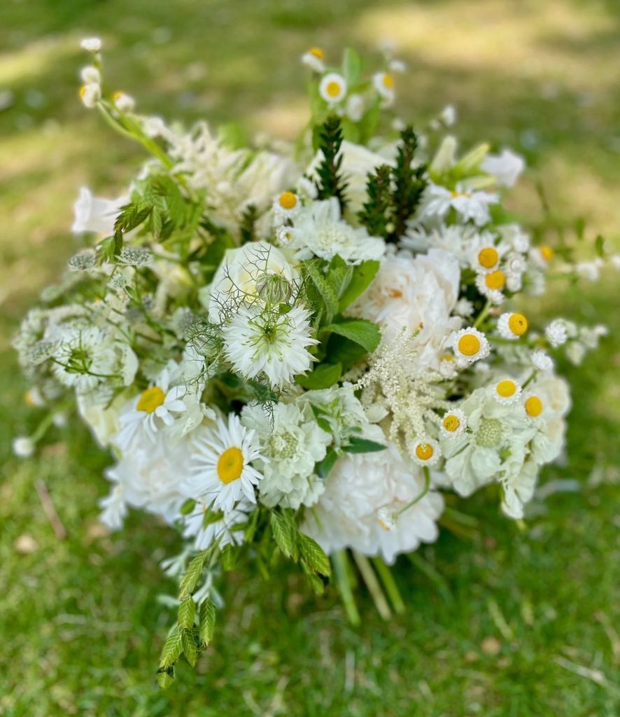 Sunkissed Splendor arrangement - this Bouquet is composed of vibrant, fragrant flowers that create a memorable impression. Its lush combination of colours and textures will bring light and warmth to that special person.

pulbrookandgould.co.uk/products/sunki… 
#floralarrangement #summervibes