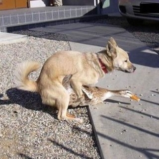 RebellisVeritas's tweet image. Right on! #Reproduce