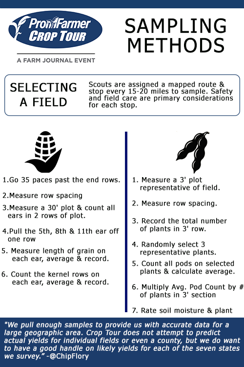 profarmer's tweet photo. As the Pro Farmer Crop Tour approaches (Aug. 21-24), we always share our sampling methods, for those who are curious or if you'd like to sample your own fields using these same steps.

About Crop Tour:  https://t.co/oY7tcWsojB https://t.co/BOBFxEYldB