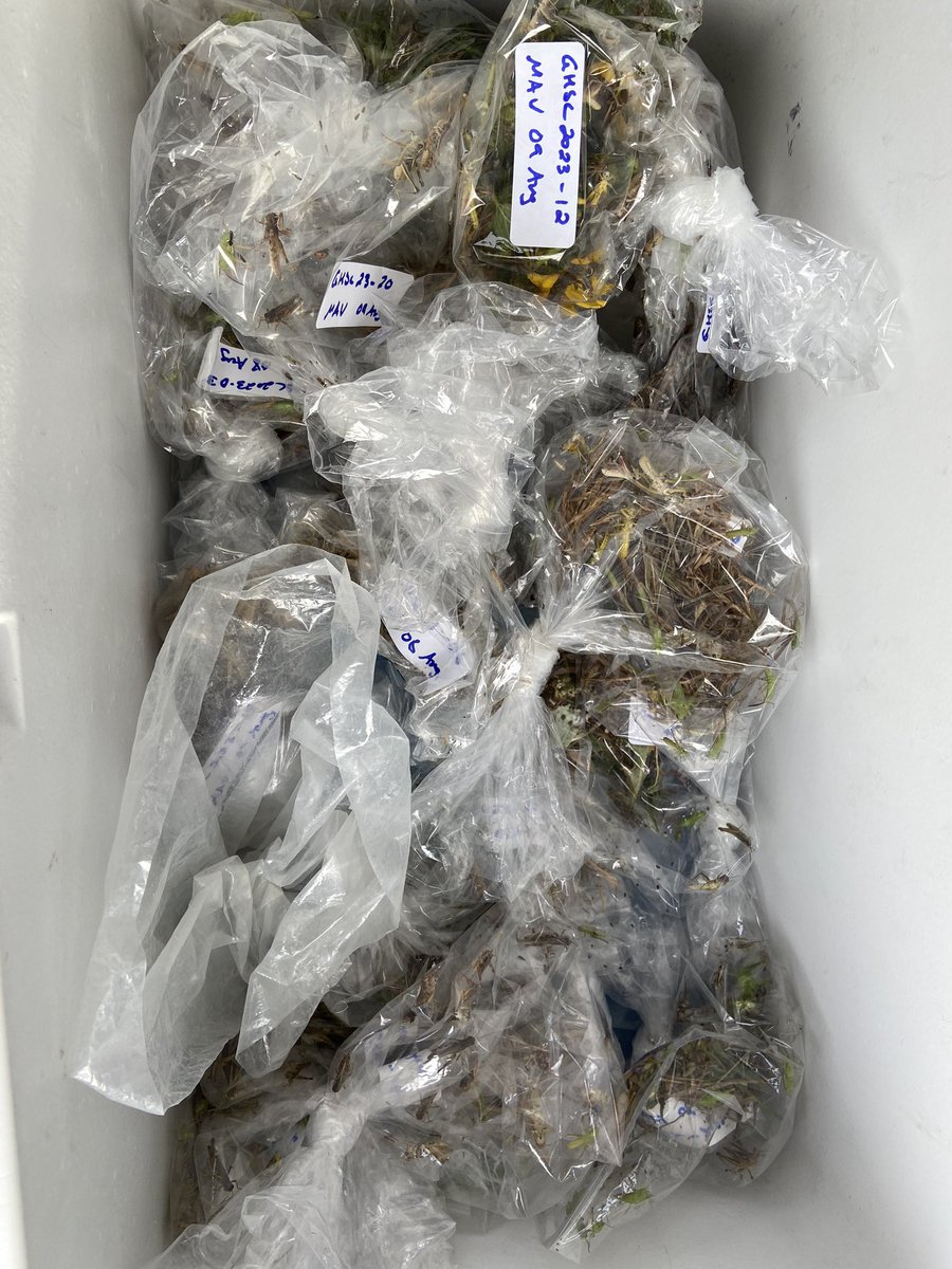 DrVanbugsky tweet media