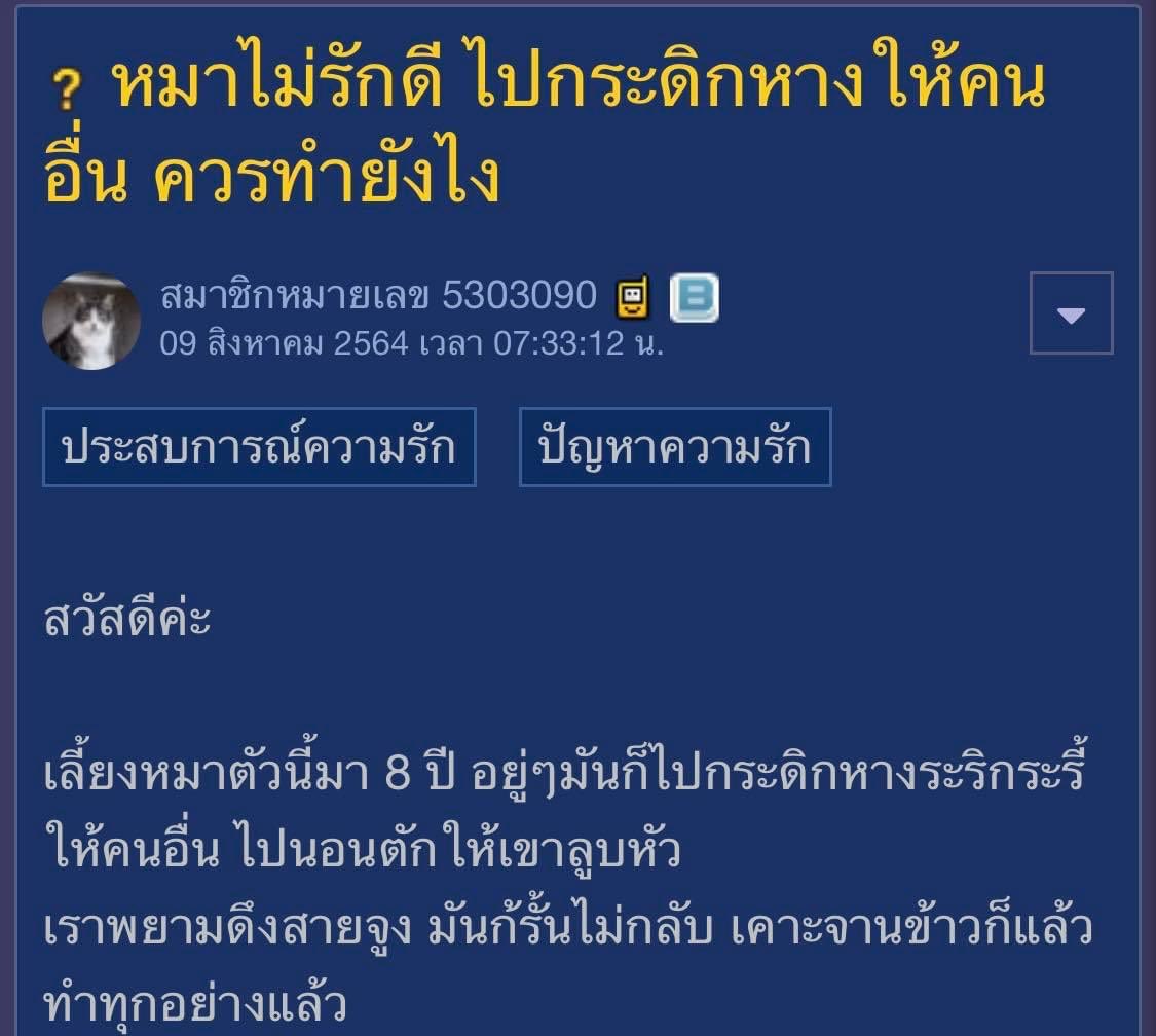 zhèn tweet media