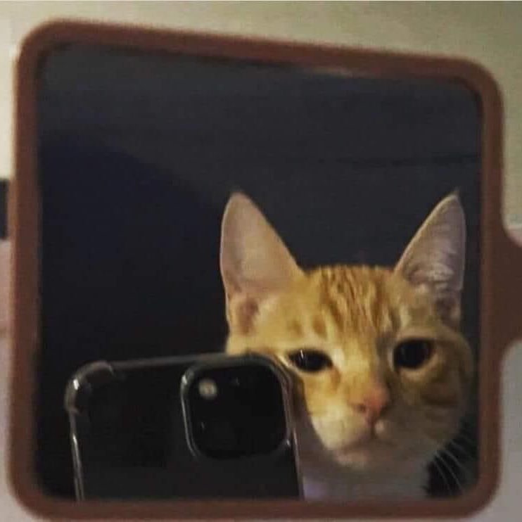 xena ᵕ̈ (@xenanicaernix) on Twitter photo 