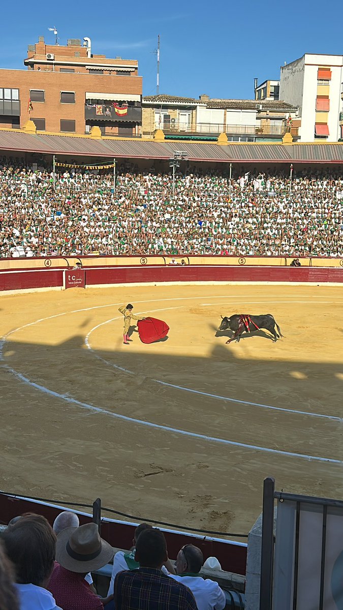 MaríaPilar Dancausa tweet media