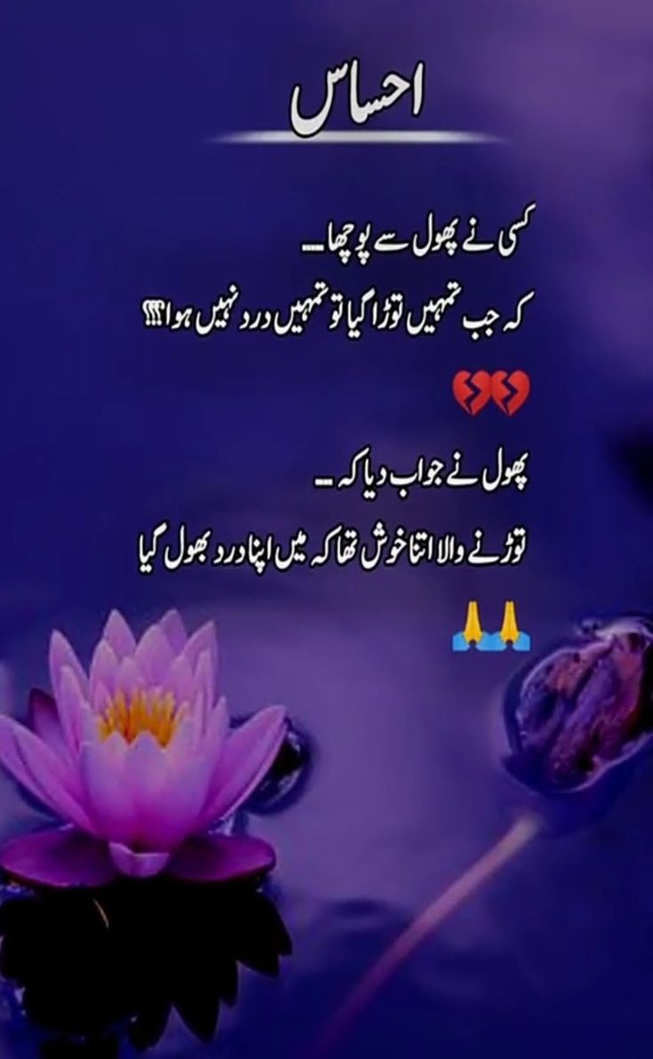 اسلام وعلیکم @gul115m @950nk @MaidahMuhammad @saraanwar45 @_honyA_Pti @hi03708476 @Be_Classy4 @Khala_Hun @z110c @drtu01 @Chuchaji @F_BALOCH1_ @Fj_Paro @bi786_ @NiniYmz @9Glnz @IR09741 @shafaq_mirza @Biak0_ @D3G39 @Maaah_45 @zimal08 @Pk50K @nas_uk197 @MQ_786 @MSTQ86