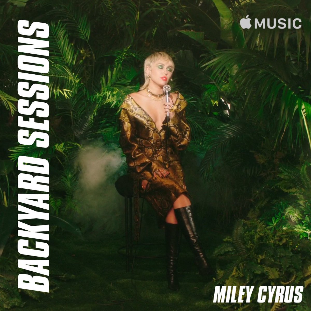 🎸 FIRST 4 #MILEYCYRUS #BACKYARDSESSIONS AUDIO ALBUMS 🎸

If enough people want them I’ll upload them. 💿