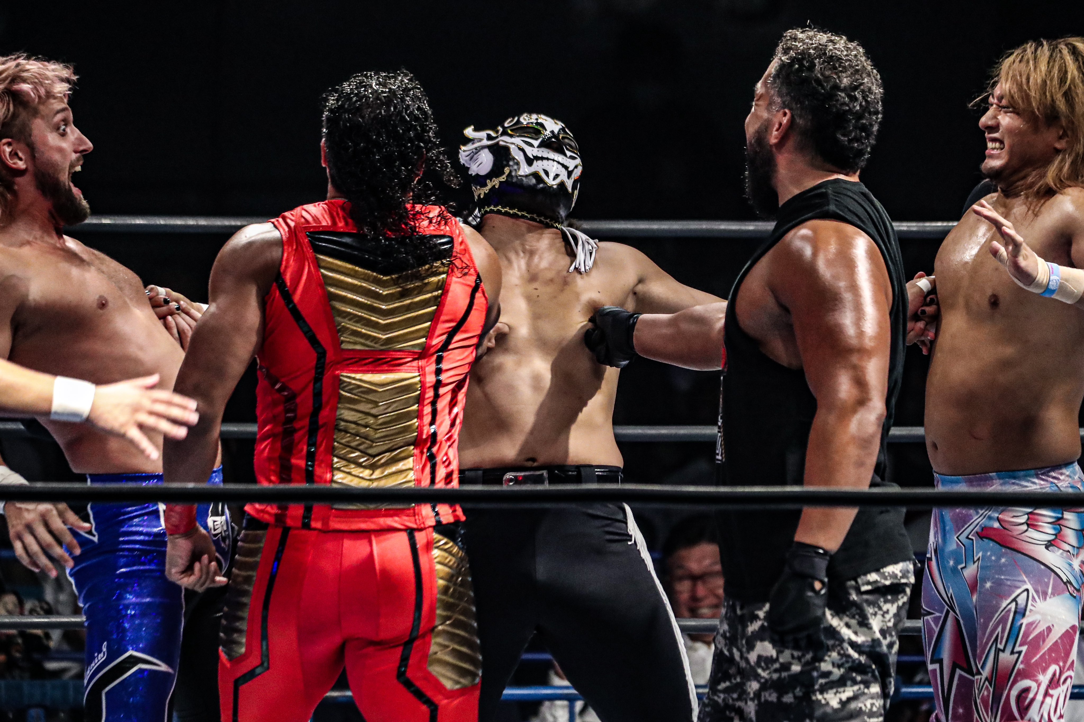 NAPP0NxxxVer.2 on X: 