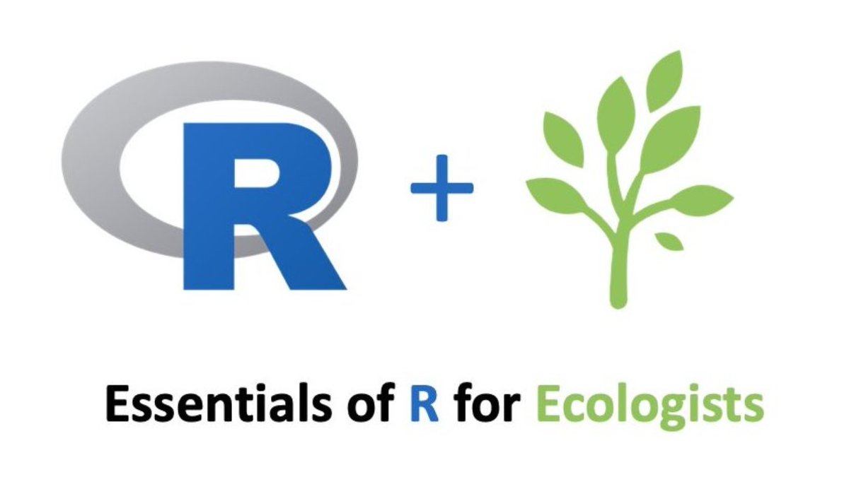 R resources for ecologists: 

Here's a link to all my #Rstats resources in one place! I've got online courses, YouTube videos, a blog, and more! 
*Especially useful for grad students... #ESA2023 👀 

Check it out here: linktr.ee/rforecology

#RforEcology #ecology #gradschool