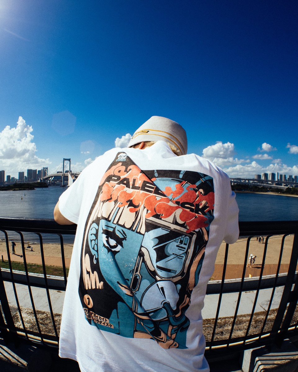 Paledusk イラストシャツ Mサイズ PALEDUSK / Tシャツの通販 by 鱸's shop｜ラクマ