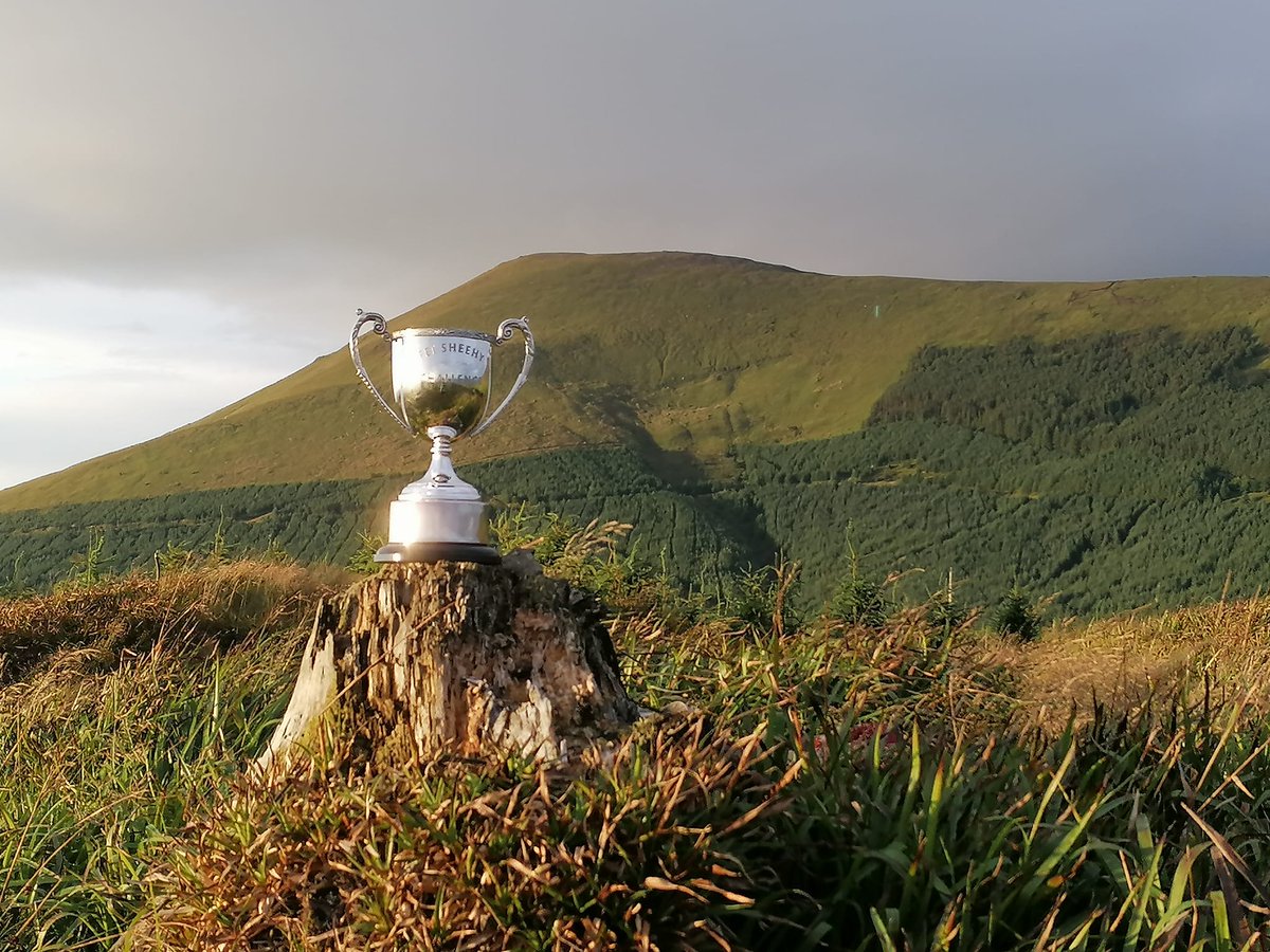 Galtee Walking Club tweet media