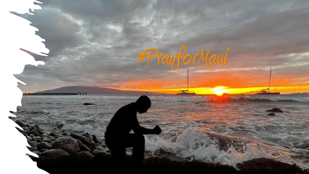 Andrew Van Chau tweet media