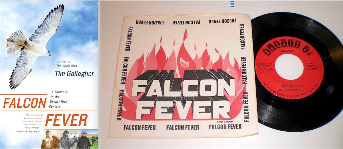 TimGallagher17's tweet photo. Guess I wasn't the first person to use Falcon Fever as a title. ๐ถ #birdsofprey #falcons #falconry #falconfever https://t.co/5UirZJfnft
