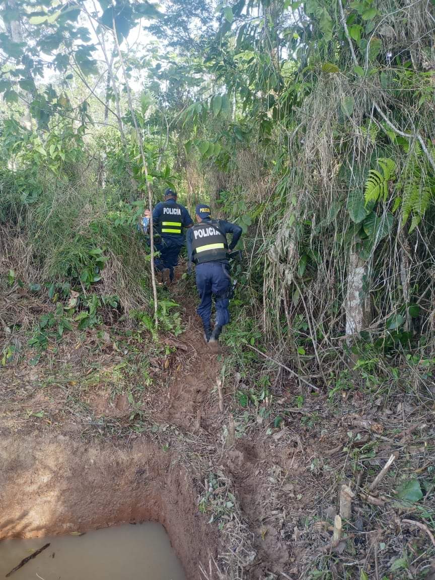 Seguridad Pública tweet media