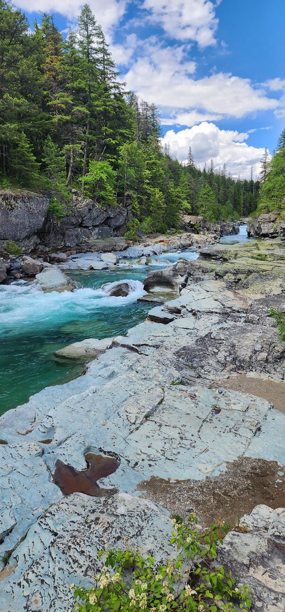 Joe Blow tweet media