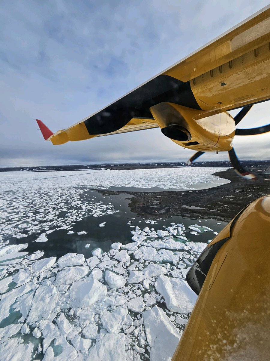 AirbusDefence's tweet photo. #C295 for Canada 🇨🇦 has reached the next milestone: The #aircraft designated CC-295 'Kingfisher' for @RCAF_ARC operations completed the Polar Navigation test campaign, demonstrating its capability for search and rescue (SAR) missions in the Arctic. Read more about the C295 for Canada here: https://t.co/y7oMhDJ9Ku
📸: ©️ ADM(Mat)