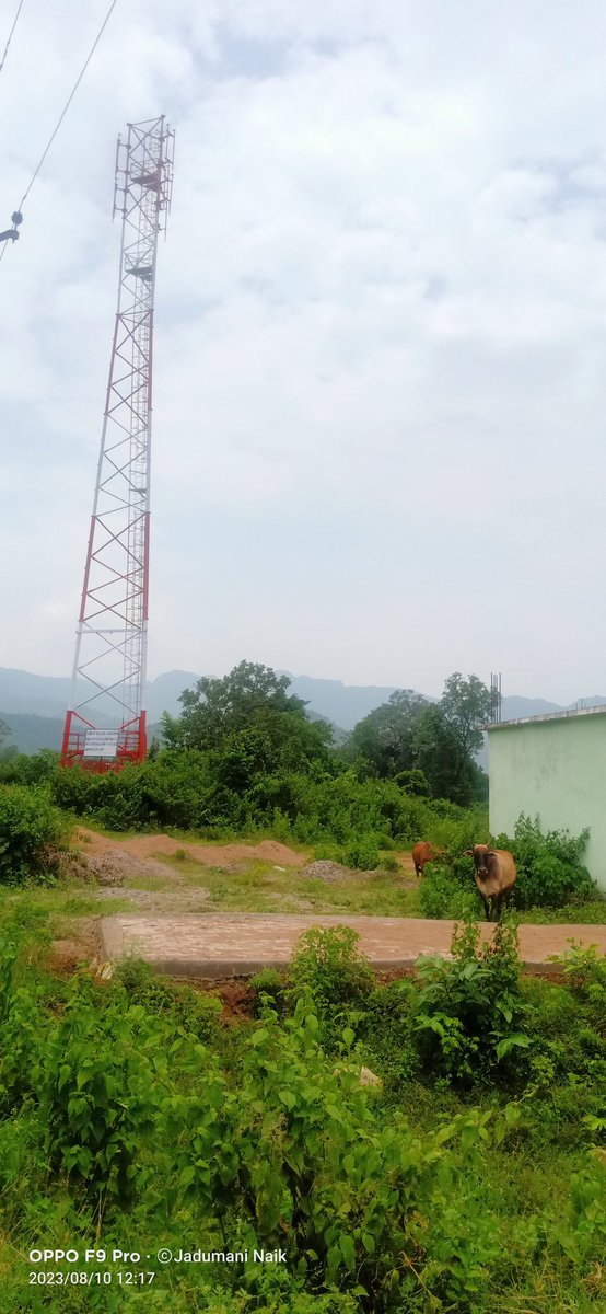 Jio Mobile tower construction work at Langalbeda of Narayanpatna Tahasil is under progress.

<a href="/dmkoraput/">Collector and District Magistrate, Koraput</a>
