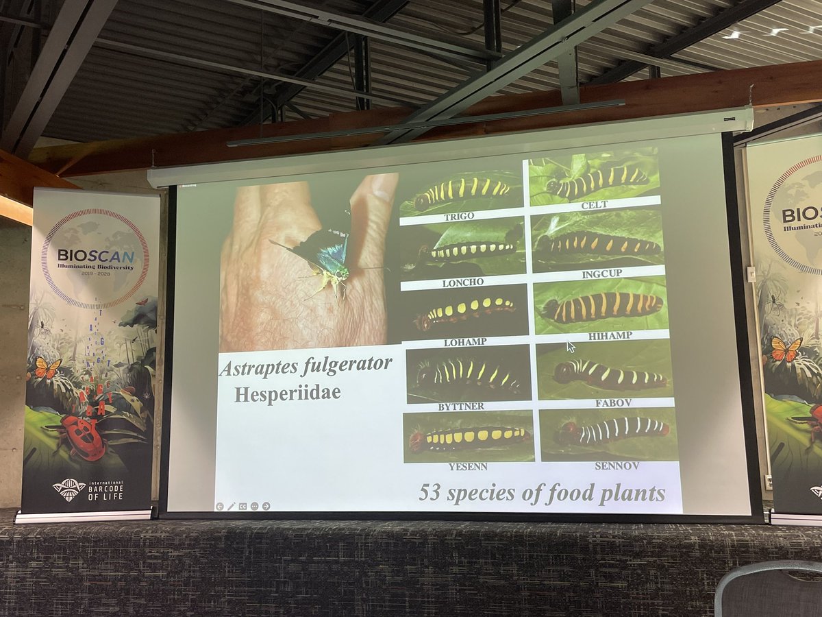 magdaboudagher's tweet photo. The story of the #DNA barcoding breakthrough in 2003/2004, especially when recounted by the remarkable Dan Jansen, consistently stirs my emotions 🥹💚 

Thank you @CBG_UofG @uofg  for hosting @iBOLConsortium research community. 
#BIOSCAN #science #DNAtech #biodiversity https://t.co/NNvxmVCk5D