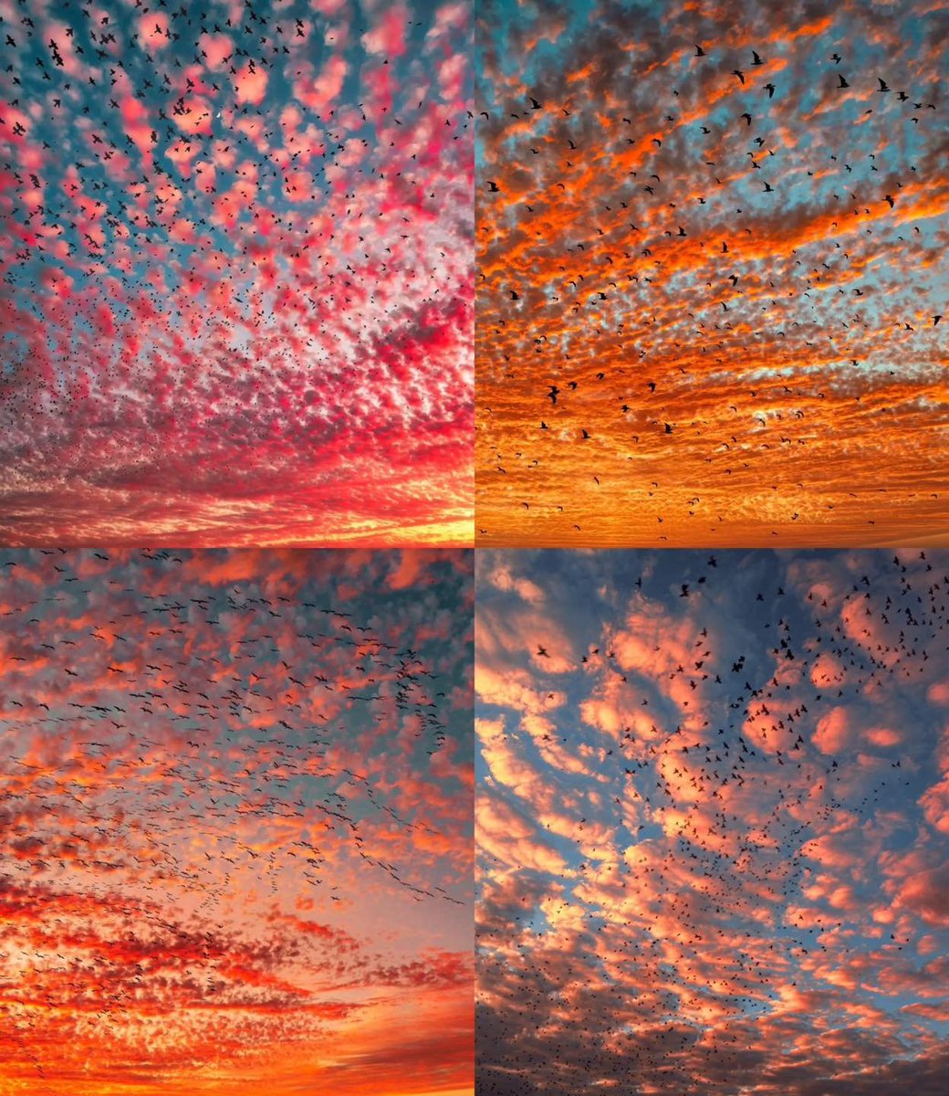 artindetails's tweet photo. colorful clouds https://t.co/2wwU73I5r6