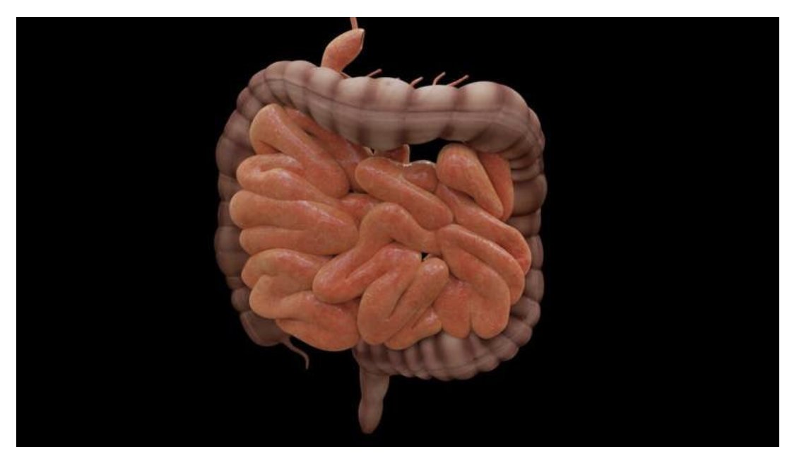 'Studies pinpoint risk factors for complications of pediatric intestinal failure'

feedkast.com/feeds/757

#VTE