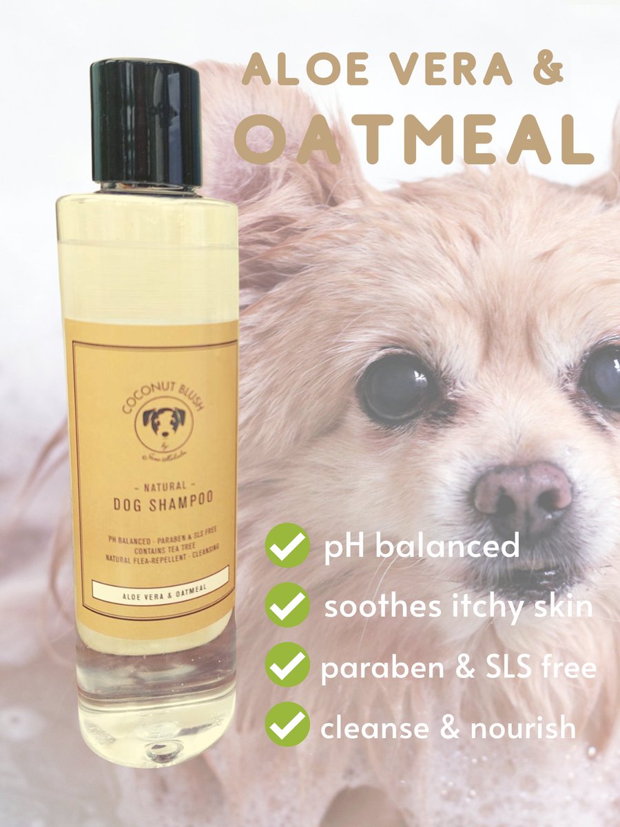 Jane Malcolm tweet media