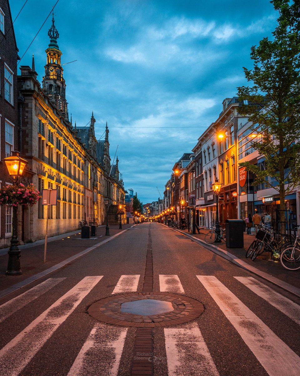 Richard Steenvoorden 🌱 tweet media